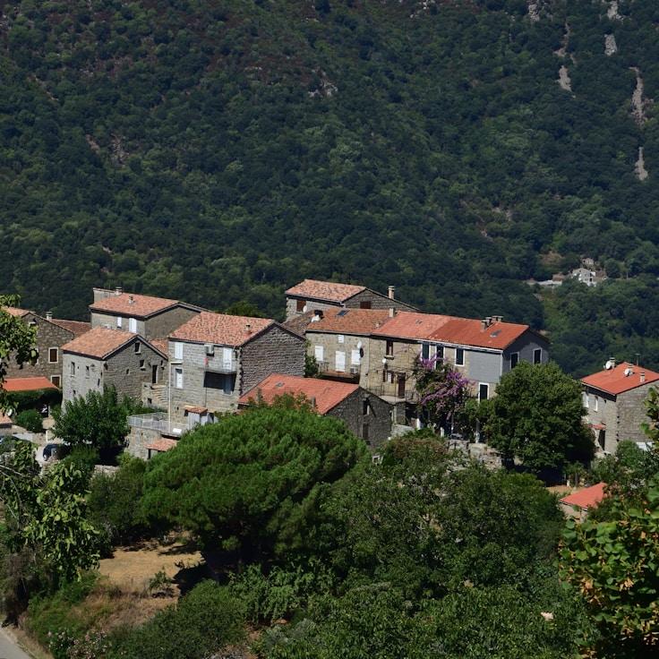 Family terraces and cafés for calm evenings in Berlin